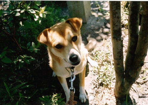 �i�K�m�f�q